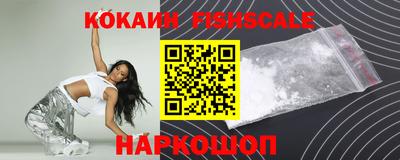 крисы Можга