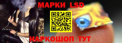 крисы Можга