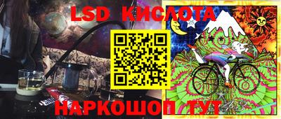 крисы Можга