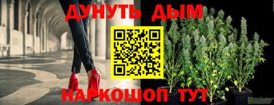 крисы Можга