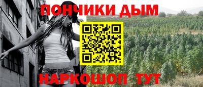 крисы Можга