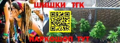 крисы Можга
