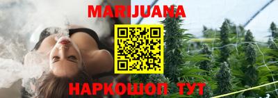 стаф Моздок