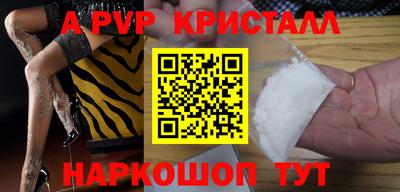 крисы Можга