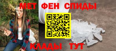 крисы Можга