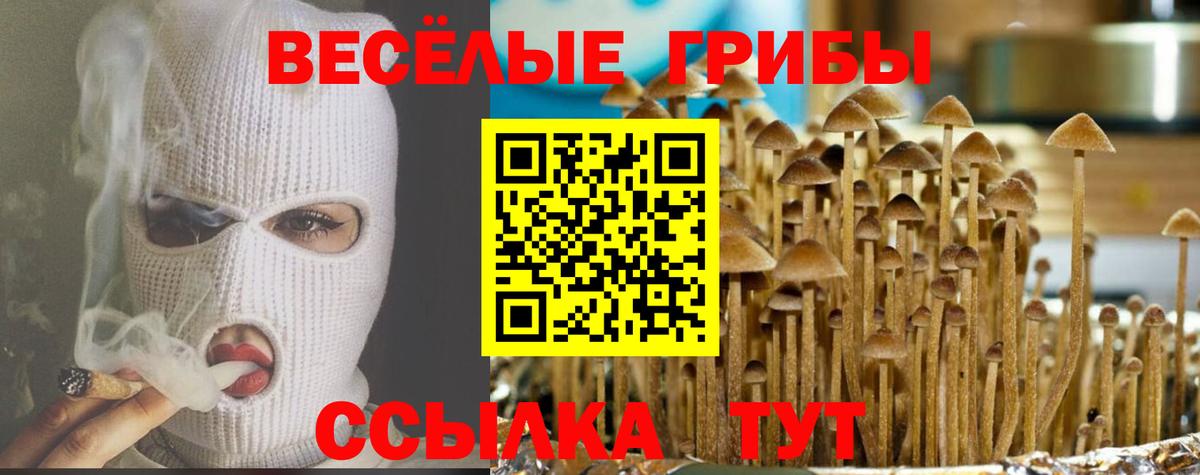 Галлюциногенные грибы MAGIC MUSHROOMS  Вход с VPN  Тобольск  Псилоцибиновые грибы мицелий 